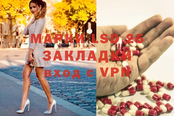 mdma Новозыбков