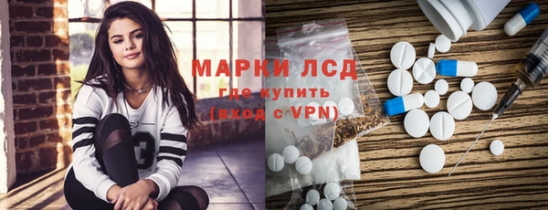spice Новодвинск