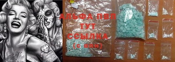 спиды Новокубанск