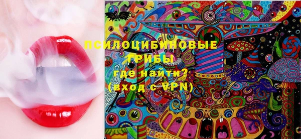 spice Новодвинск